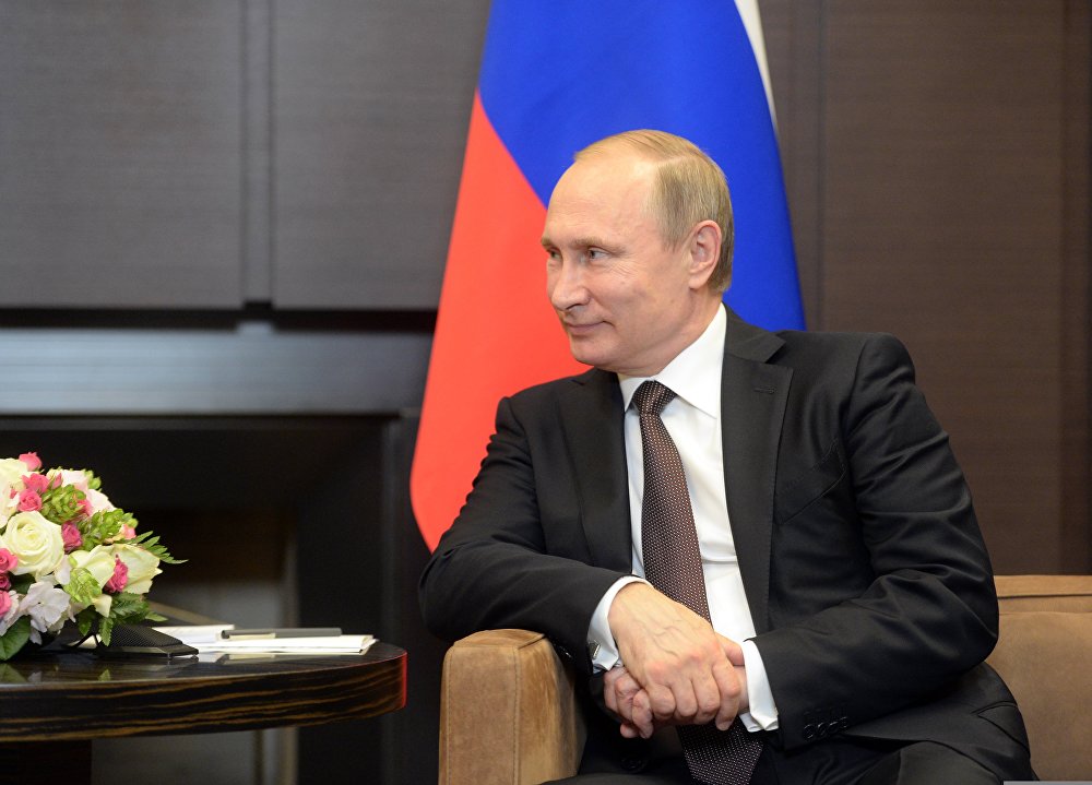 Vladimir Putin's limited attendance meeting with President of Indonesia Joko Widodo