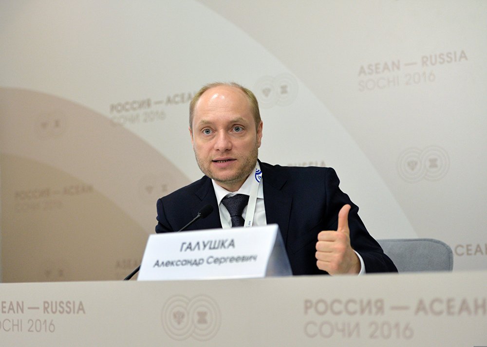 Брифинг министра РФ по развитию Дальнего Востока Александра Галушки